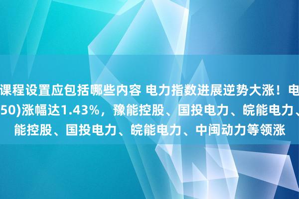 课程设置应包括哪些内容 电力指数进展逆势大涨！电力指数ETF(562350)涨幅达1.43%，豫能控股、国投电力、皖能电力、中闽动力等领涨