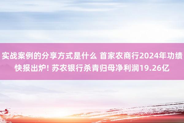 实战案例的分享方式是什么 首家农商行2024年功绩快报出炉! 苏农银行杀青归母净利润19.26亿