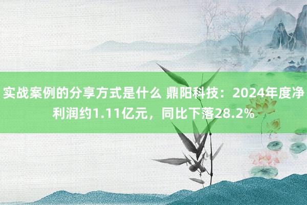 实战案例的分享方式是什么 鼎阳科技：2024年度净利润约1.11亿元，同比下落28.2%