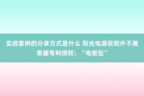 实战案例的分享方式是什么 阳光电源获取外不雅策画专利授权：“电板包”